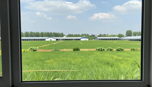 宣传片制作选型中的成本控制策略